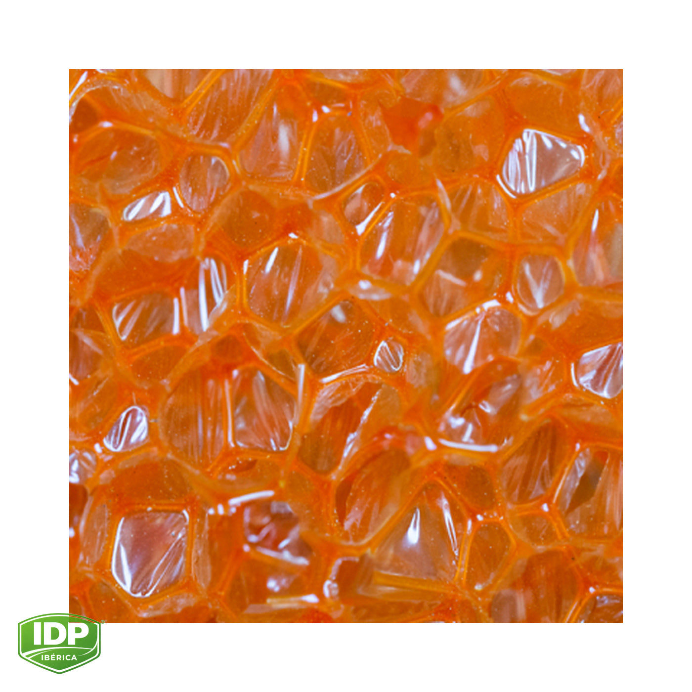 Rodillo Pro Ø 80 Esponja Poro 3, 22 cm. M.PP., maquinaria de limpieza industrial IDP para pavimentos
